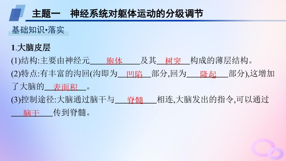 2024_2025学年新教材高中生物第2章神经调节第4节神经系统的分级调节课件新人教版选择性必修1_第4页