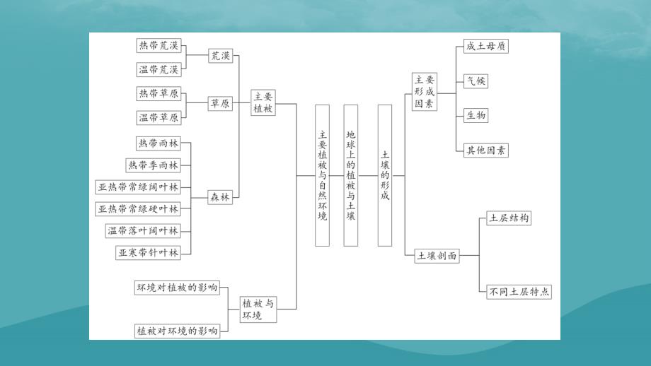 2023年新教材高中地理章末整合提升5第5章地球上的植被与土壤课件湘教版必修第一册_第3页