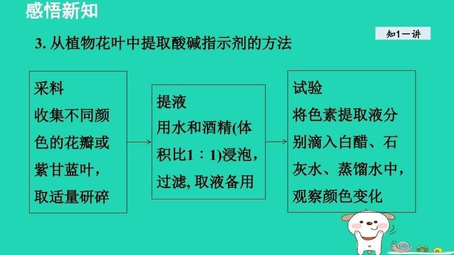 2024九年级化学下册第8章常见的酸碱盐8.1溶液的酸碱性授课课件科粤版_第5页