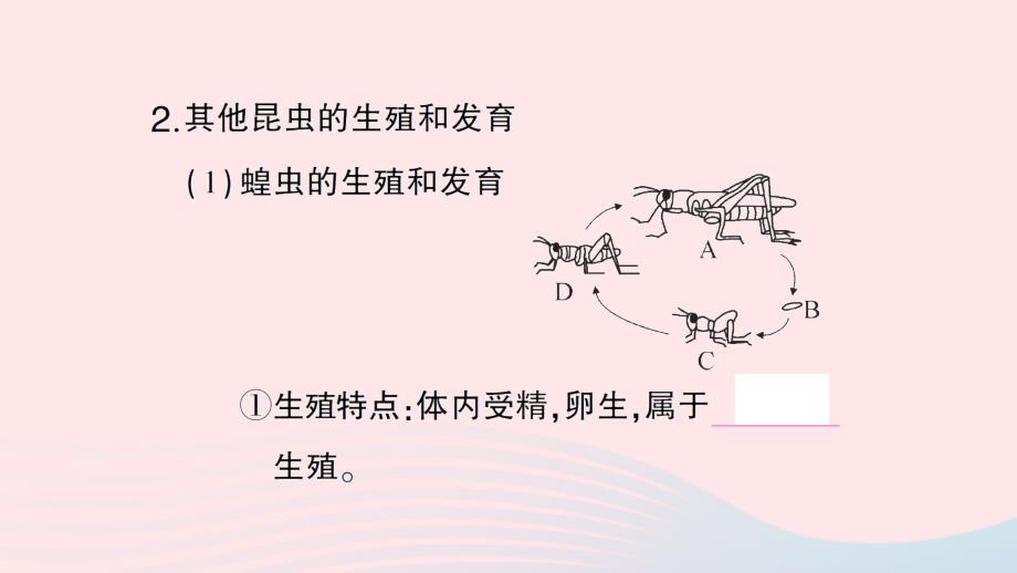 2023八年级生物下册第七单元生物圈中生命的延续和发展第一章生物的生殖和发育第二节昆虫的生殖和发育作业课件新版新人教版_第4页