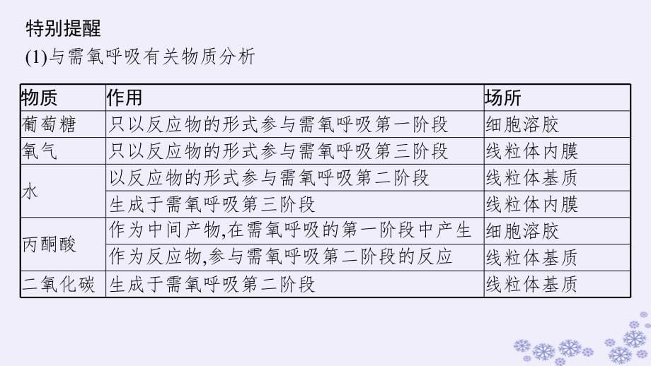 适用于新高考新教材浙江专版2025届高考生物一轮总复习第2单元细胞的代谢第7讲细胞呼吸为细胞生活提供能量课件浙科版_第5页