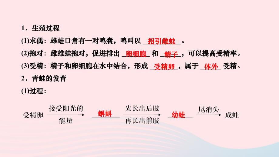 2024八年级生物下册第七单元生物圈中生命的延续和发展第一章生物的生殖和发育第三节两栖动物的生殖和发育作业课件新版新人教版_第2页