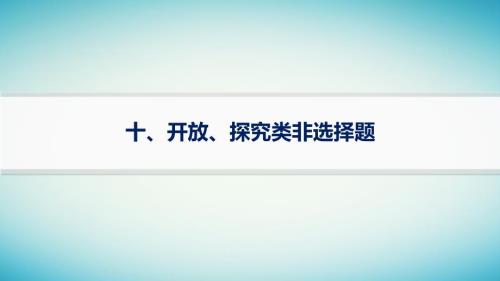 适用于老高考旧教材2024版高考政治二轮复习热考题型练10开放探究类非选择题课件