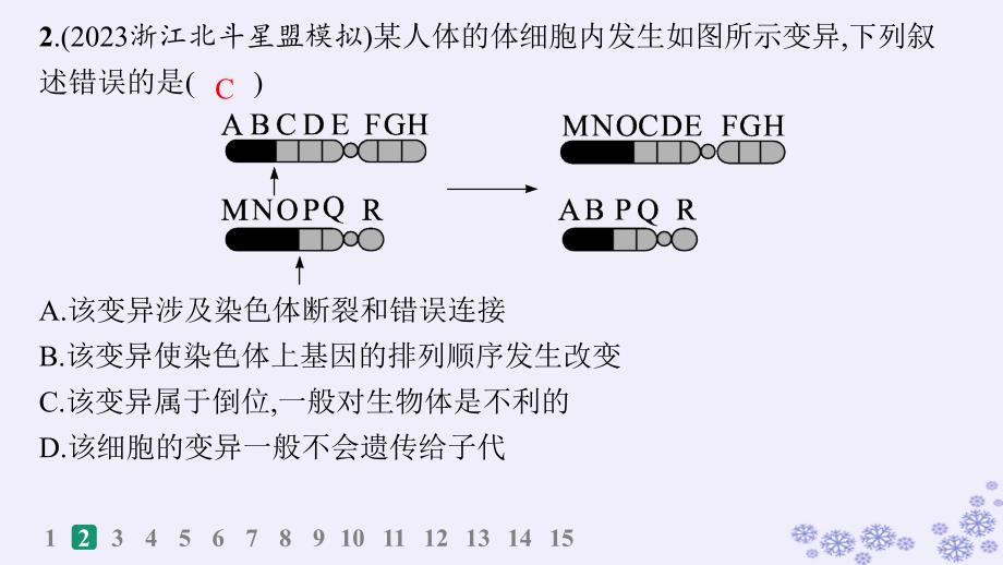 适用于新高考新教材浙江专版2025届高考生物一轮总复习第6单元生物的变异与进化作业32基因突变基因重组和染色体畸变课件浙科版_第3页