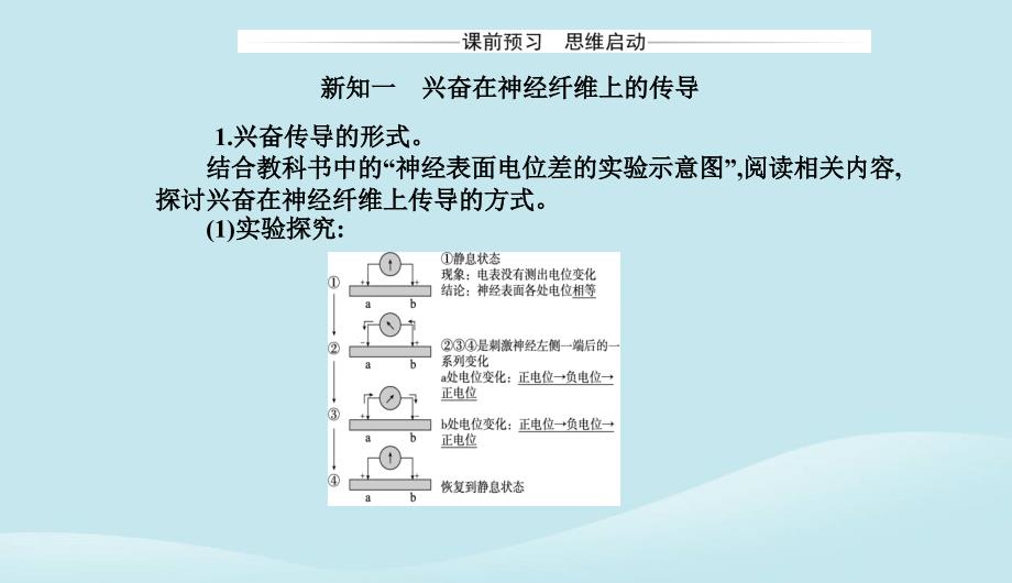 新教材2023高中生物第2章神经调节第3节神经冲动的产生和传导课件新人教版选择性必修1_第3页