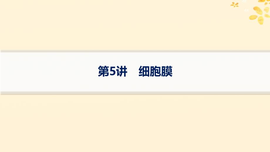 适用于新高考新教材备战2025届高考生物一轮总复习第2单元细胞的基本结构及物质运输第5讲细胞膜课件_第1页