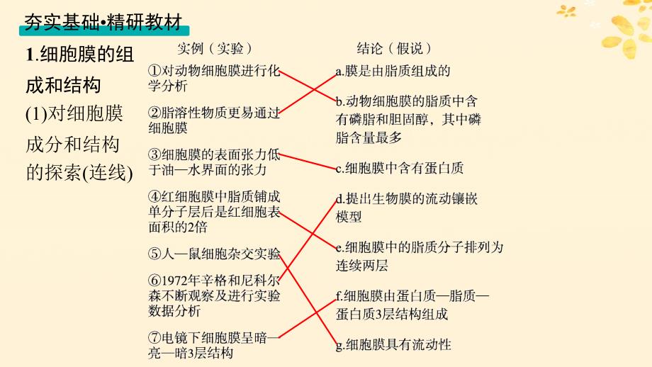 适用于新高考新教材备战2025届高考生物一轮总复习第2单元细胞的基本结构及物质运输第5讲细胞膜课件_第3页