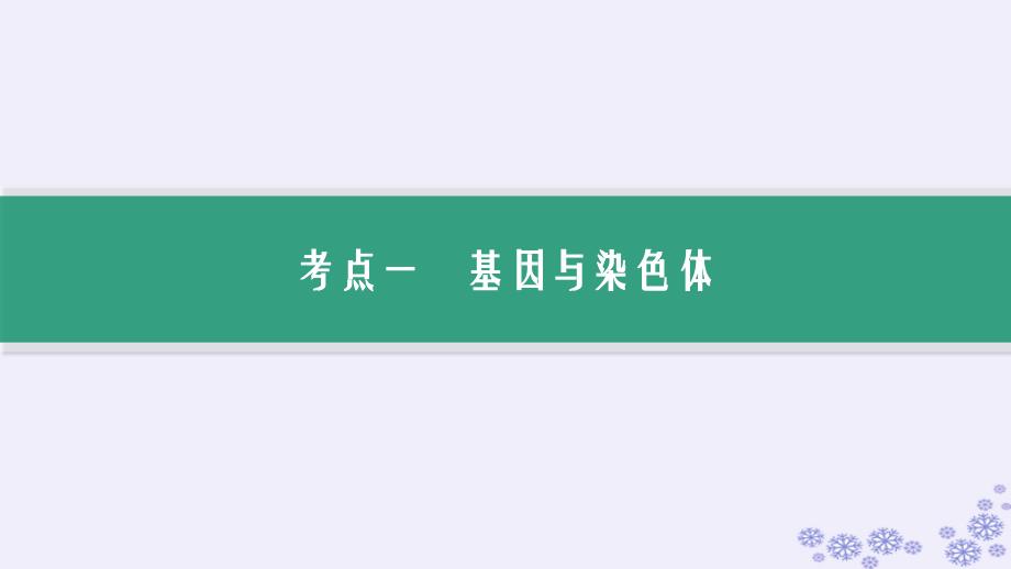 适用于新高考新教材浙江专版2025届高考生物一轮总复习第4单元遗传的基本规律及应用第14讲基因与染色体伴性遗传课件浙科版_第3页