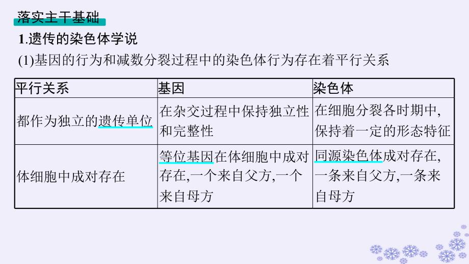 适用于新高考新教材浙江专版2025届高考生物一轮总复习第4单元遗传的基本规律及应用第14讲基因与染色体伴性遗传课件浙科版_第4页