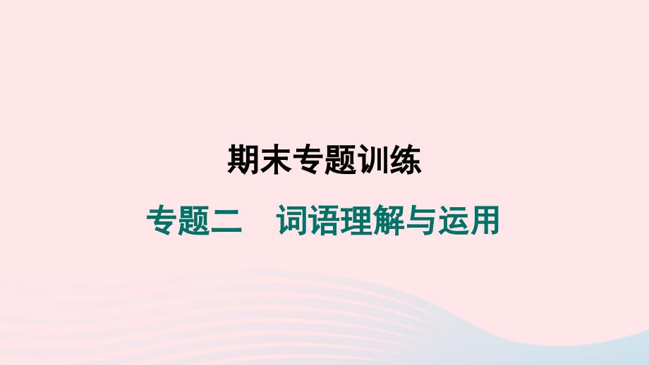 辽宁专版2024春九年级语文下册期末专题训练二词语理解与运用作业课件新人教版_第1页