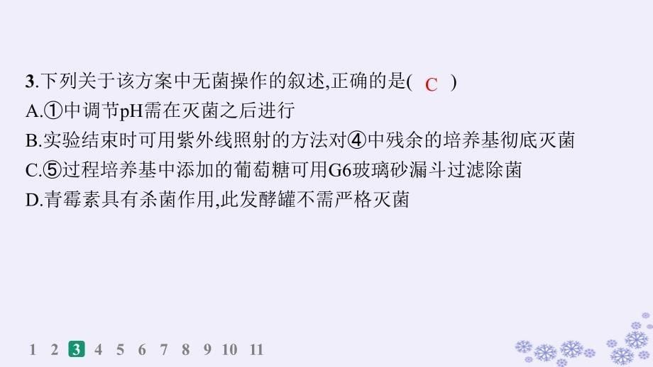 适用于新高考新教材浙江专版2025届高考生物一轮总复习第9单元生物技术与工程作业52微生物的培养和利用课件浙科版_第5页