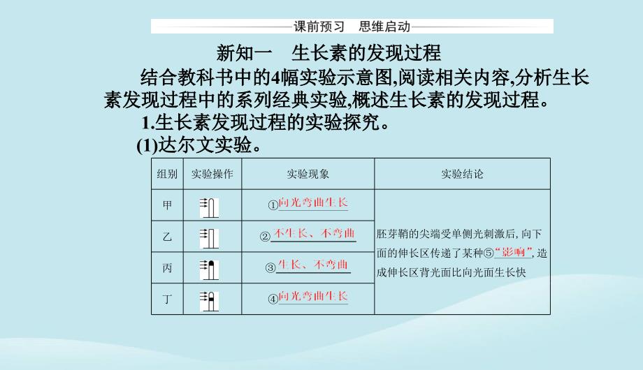 新教材2023高中生物第5章植物生命活动的调节第1节植物生长素课件新人教版选择性必修1_第3页