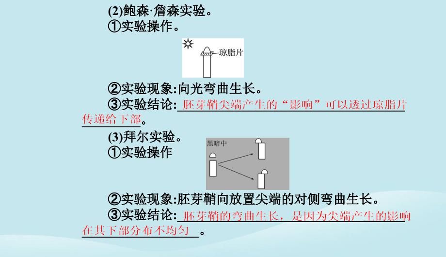 新教材2023高中生物第5章植物生命活动的调节第1节植物生长素课件新人教版选择性必修1_第4页