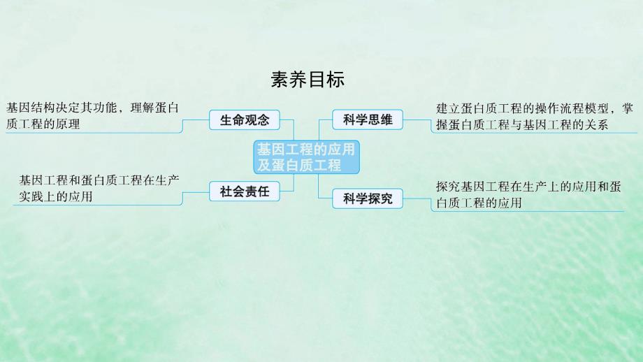 适用于新教材2024版高考生物一轮总复习第10单元生物技术与工程第51讲基因工程的应用及蛋白质工程课件新人教版_第2页