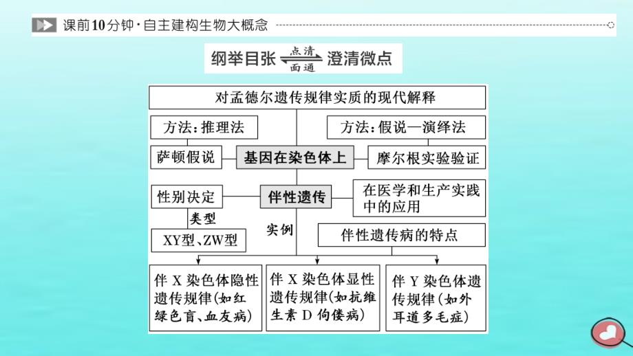 2024届高考生物一轮总复习必修2第五单元遗传的基本规律和伴性遗传第2讲基因在染色体上和伴性遗传课件_第2页