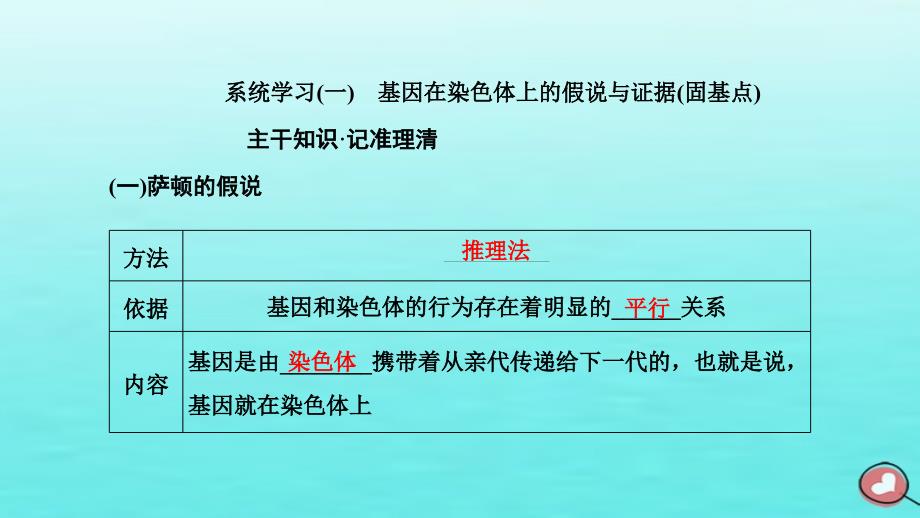 2024届高考生物一轮总复习必修2第五单元遗传的基本规律和伴性遗传第2讲基因在染色体上和伴性遗传课件_第4页