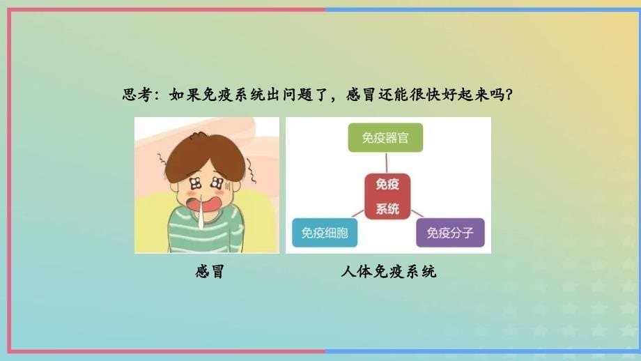 新教材2023年秋高中生物4.3免疫失调课件新人教版选择性必修1_第5页