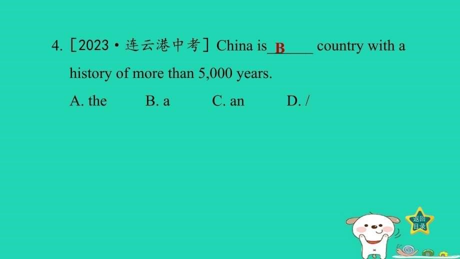 2024九年级英语全册专项训练一单项选择冠词习题课件新版人教新目标版_第5页