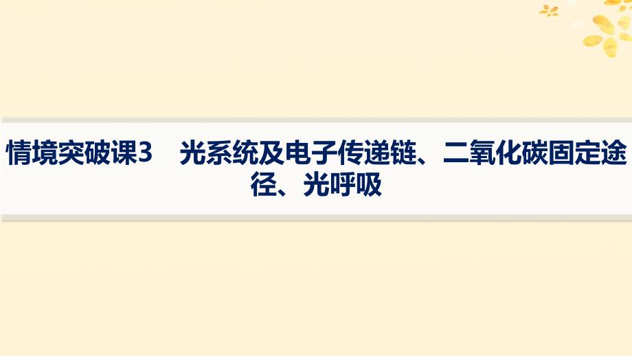 适用于新高考新教材备战2025届高考生物一轮总复习第3单元细胞的代谢情境突破课3光系统及电子传递链二氧化碳固定途径光呼吸课件_第1页