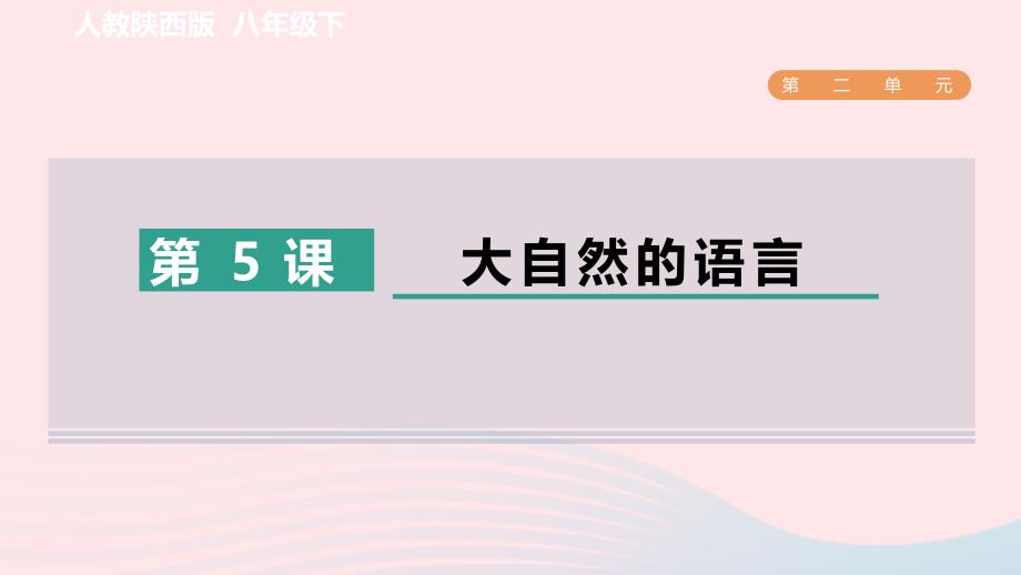 陕西专版2024春八年级语文下册第二单元5大自然的语言作业课件新人教版_第1页