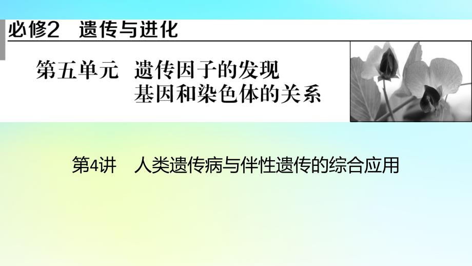 2024版高考生物一轮总复习第五单元遗传因子的发现基因和染色体的关系第4讲人类遗传病与伴性遗传的综合应用课件_第1页