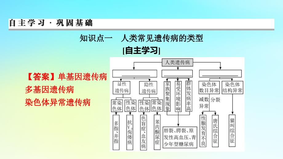 2024版高考生物一轮总复习第五单元遗传因子的发现基因和染色体的关系第4讲人类遗传病与伴性遗传的综合应用课件_第3页