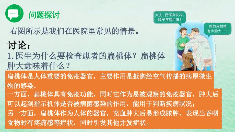 高中生物4.1免疫系统的组成和功能课件新人教版选择性必修1_第3页