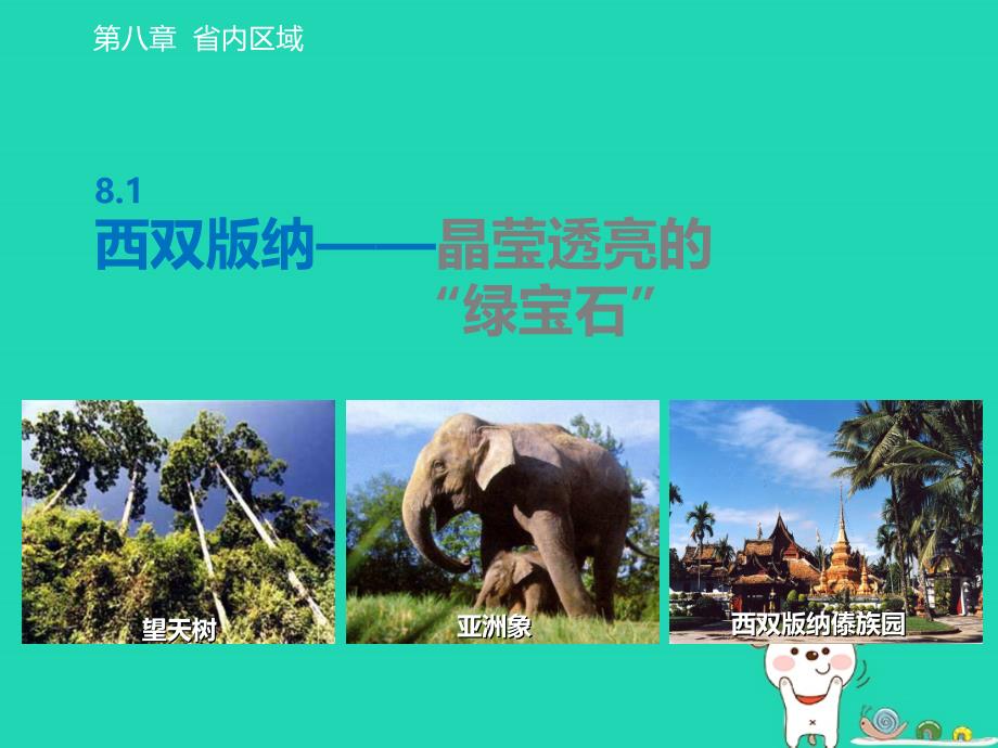 2024八年级地理下册第八章省内区域8.1西双版纳__晶莹透亮的绿宝石课件晋教版_第2页