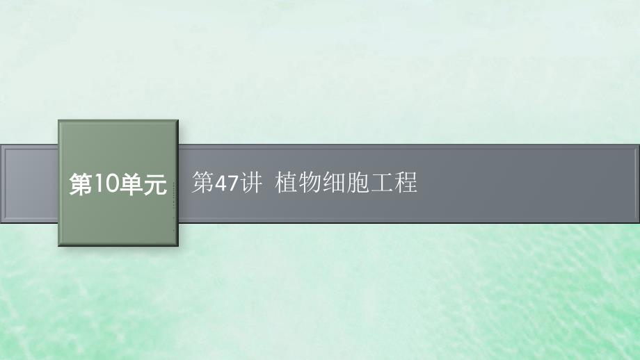 适用于新教材2024版高考生物一轮总复习第10单元生物技术与工程第47讲植物细胞工程课件新人教版_第1页