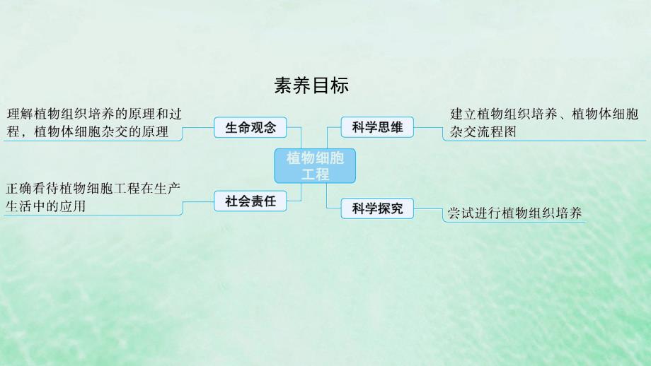 适用于新教材2024版高考生物一轮总复习第10单元生物技术与工程第47讲植物细胞工程课件新人教版_第2页