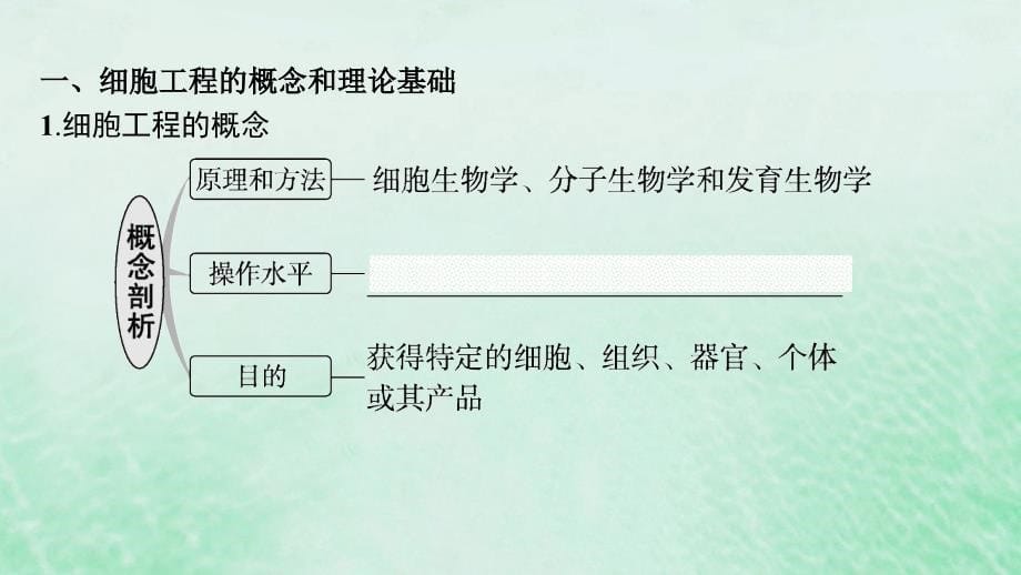 适用于新教材2024版高考生物一轮总复习第10单元生物技术与工程第47讲植物细胞工程课件新人教版_第5页