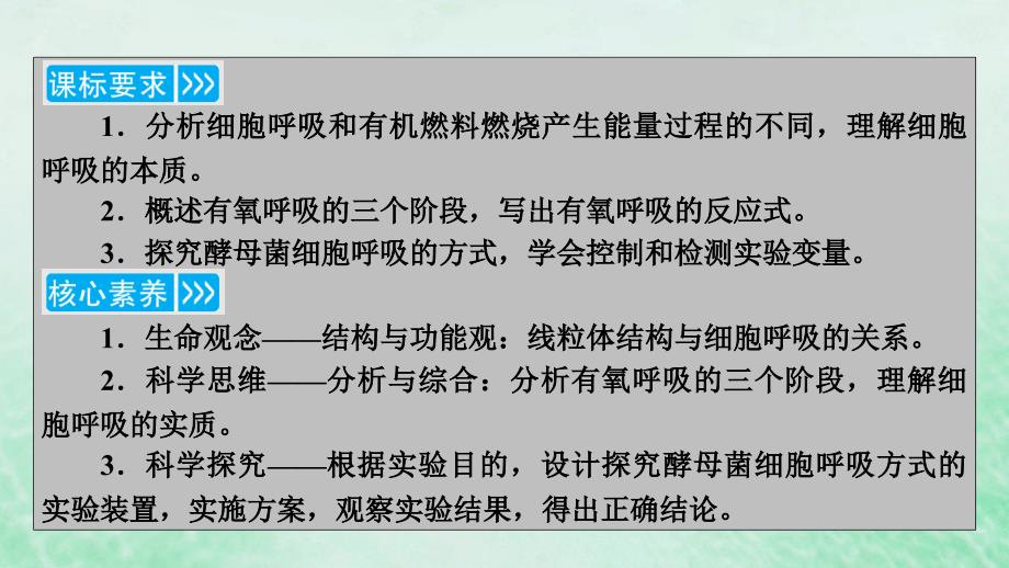 新教材适用2023_2024学年高中生物第5章细胞的能量供应和利用第3节细胞呼吸的原理和应用第1课时细胞呼吸的方式和有氧呼吸过程课件新人教版必修1_第3页