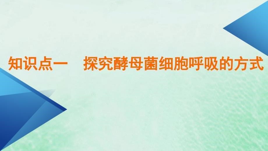 新教材适用2023_2024学年高中生物第5章细胞的能量供应和利用第3节细胞呼吸的原理和应用第1课时细胞呼吸的方式和有氧呼吸过程课件新人教版必修1_第5页