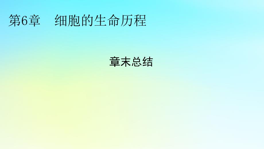 新教材2024版高中生物第6章细胞的生命历程章末总结课件新人教版必修1_第1页