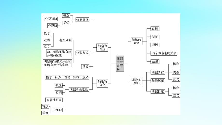 新教材2024版高中生物第6章细胞的生命历程章末总结课件新人教版必修1_第3页