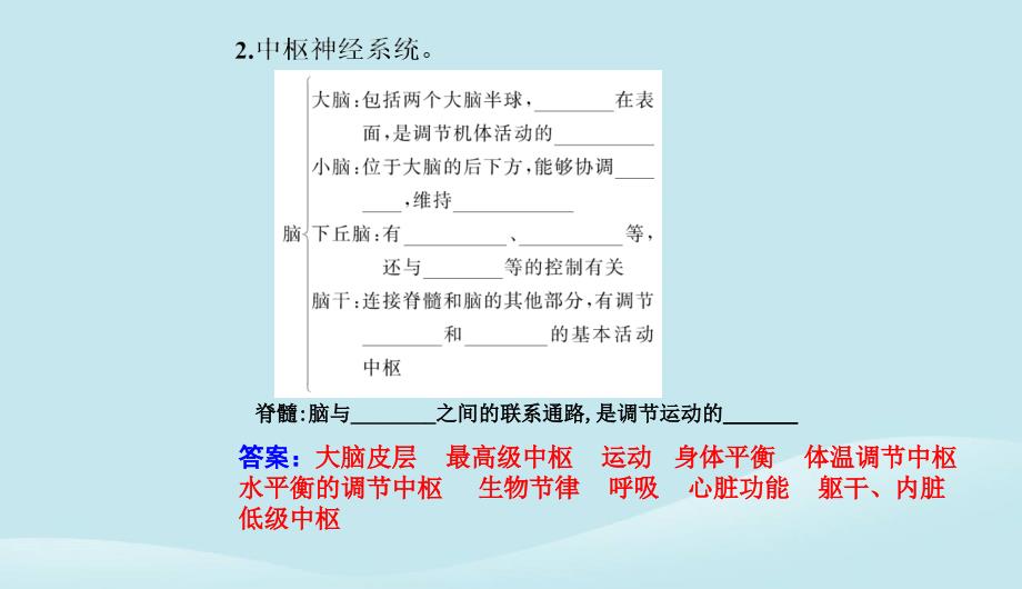 新教材2023高中生物第2章神经调节第1节神经调节的结构基次件新人教版选择性必修1_第4页