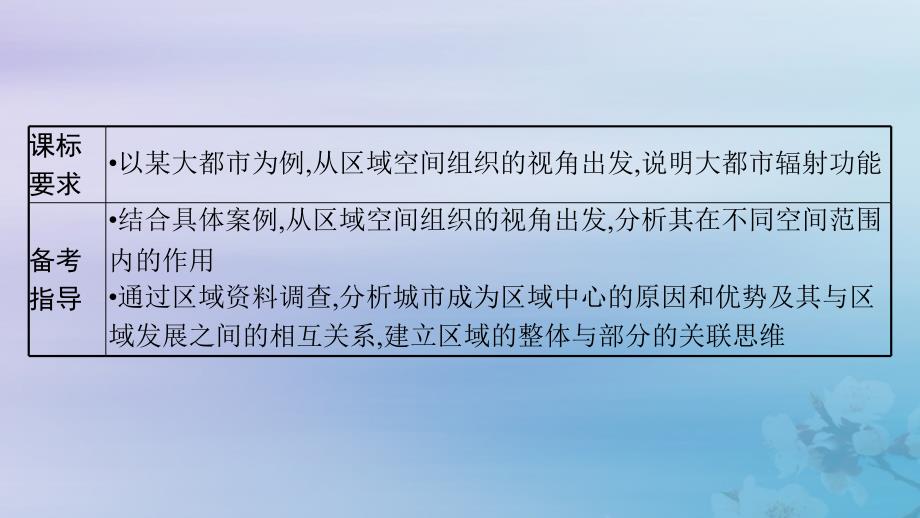 适用于新高考新教材福建专版2024届高考地理一轮总复习第15章城市产业与区域发展第1讲城市的辐射功能课件_第3页