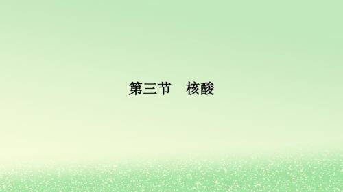 2024春新教材高中化学第4章生物大分子第3节核酸课件新人教版选择性必修3