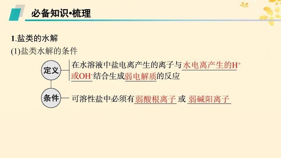 适用于新高考新教材备战2025届高考化学一轮总复习第8章水溶液中的离子反应与平衡第42讲盐类的水解课件_第5页