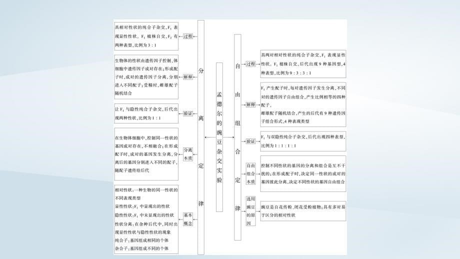 新教材2023年高中生物第1章遗传因子的发现本章整合课件新人教版必修2_第5页