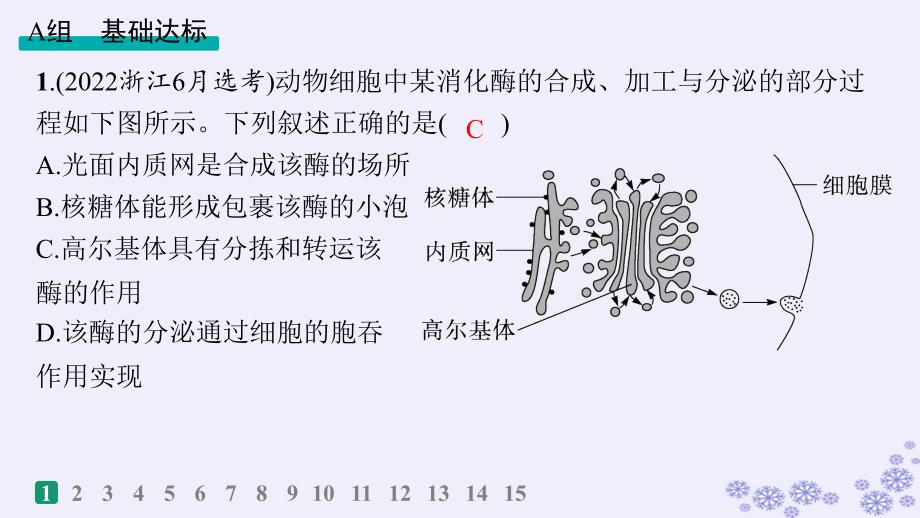 适用于新高考新教材浙江专版2025届高考生物一轮总复习第1单元细胞的分子组成与结构作业5生物膜系统与细胞器之间的协调配合课件浙科版_第2页