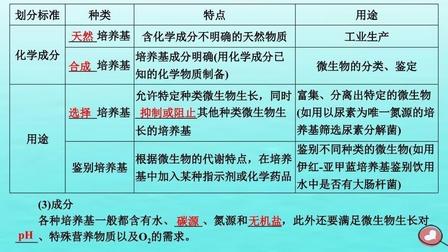 2024届高考生物一轮总复习选择性必修3第十二单元发酵工程第2讲微生物的培养技术及应用课件_第5页