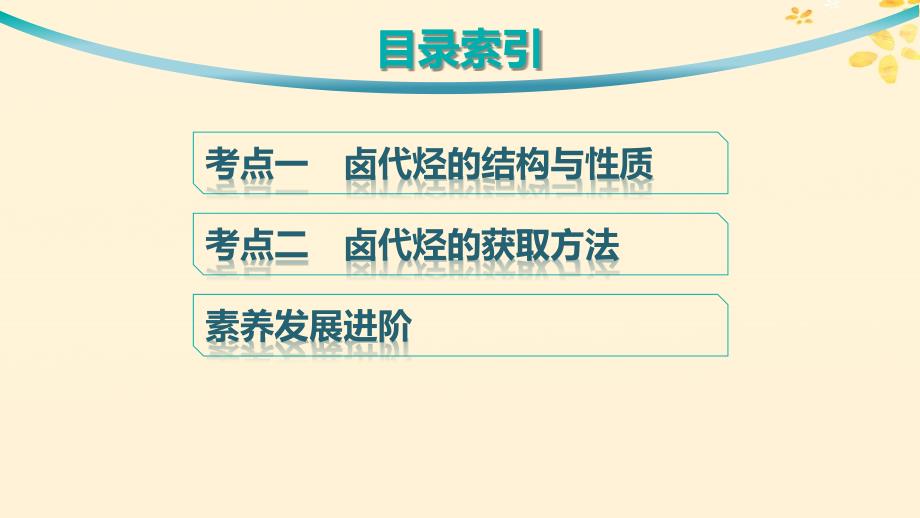 适用于新高考新教材备战2025届高考化学一轮总复习第9章有机化学基础第48讲卤代烃课件_第3页