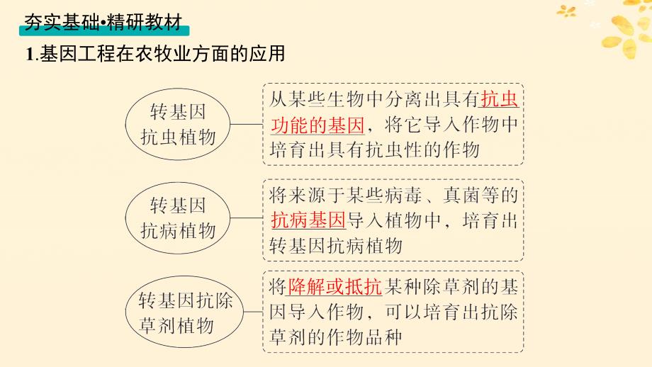 适用于新高考新教材备战2025届高考生物一轮总复习第10单元生物技术与工程第53讲基因工程的应用及蛋白质工程课件_第4页