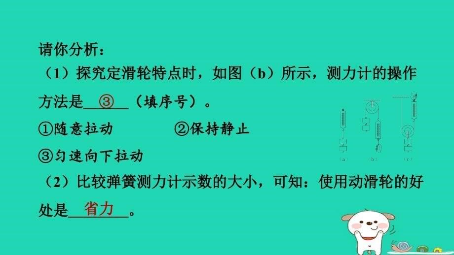 2024八年级物理下册第六章力和机械综合素质评价6.6探究滑轮的作用第1课时滑轮的分类及工作特点习题课件新版粤教沪版_第5页