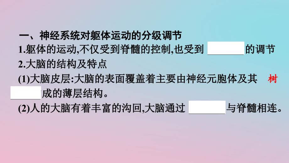 新教材2023年高中生物第2章神经调节第4节神经系统的分级调节课件新人教版选择性必修1_第4页