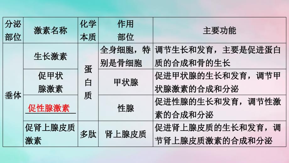 2025版新教材高中生物第3章体液调节第1节激素与内分泌系统第2课时内分泌系统的组成和功能课件新人教版选择性必修1_第4页