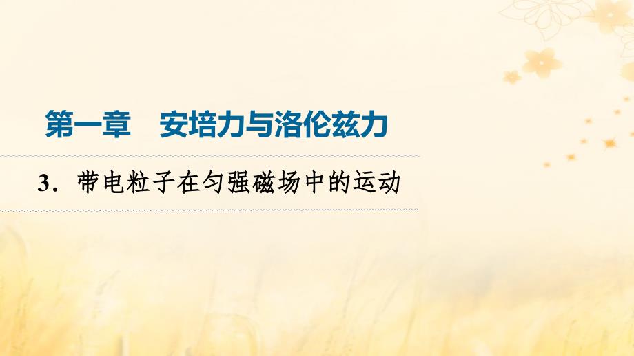 新教材2023年秋高中物理第1章安培力与洛伦兹力3.带电粒子在匀强磁场中的运动课件新人教版选择性必修第二册_第1页