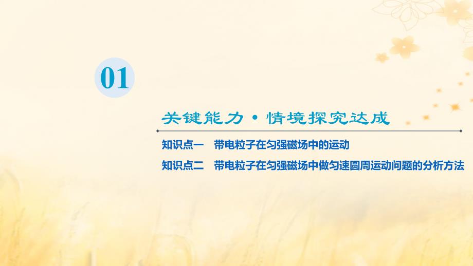 新教材2023年秋高中物理第1章安培力与洛伦兹力3.带电粒子在匀强磁场中的运动课件新人教版选择性必修第二册_第3页