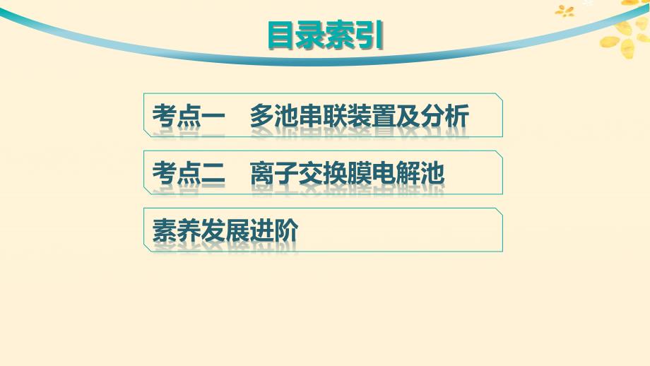 适用于新高考新教材备战2025届高考化学一轮总复习第6章化学反应与能量第33讲多池或多室电化学装置及分析课件_第3页